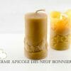 Bougie moulée poussins